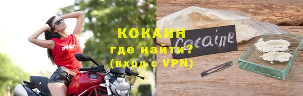 стаф Нея