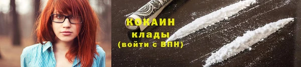 стаф Нея