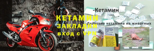 spice Болотное