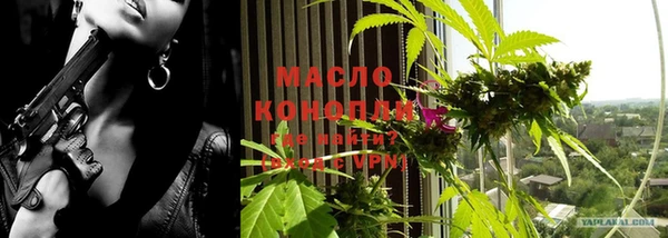стаф Нея